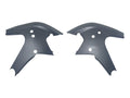 Protection de cadre pour Ducati Panigale V4 / S & Streetfighter V4 / S (2025) (transparent mat)
