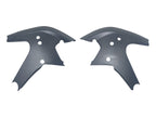 Protection de cadre pour Ducati Panigale V4 / S & Streetfighter V4 / S (2025) (transparent mat)